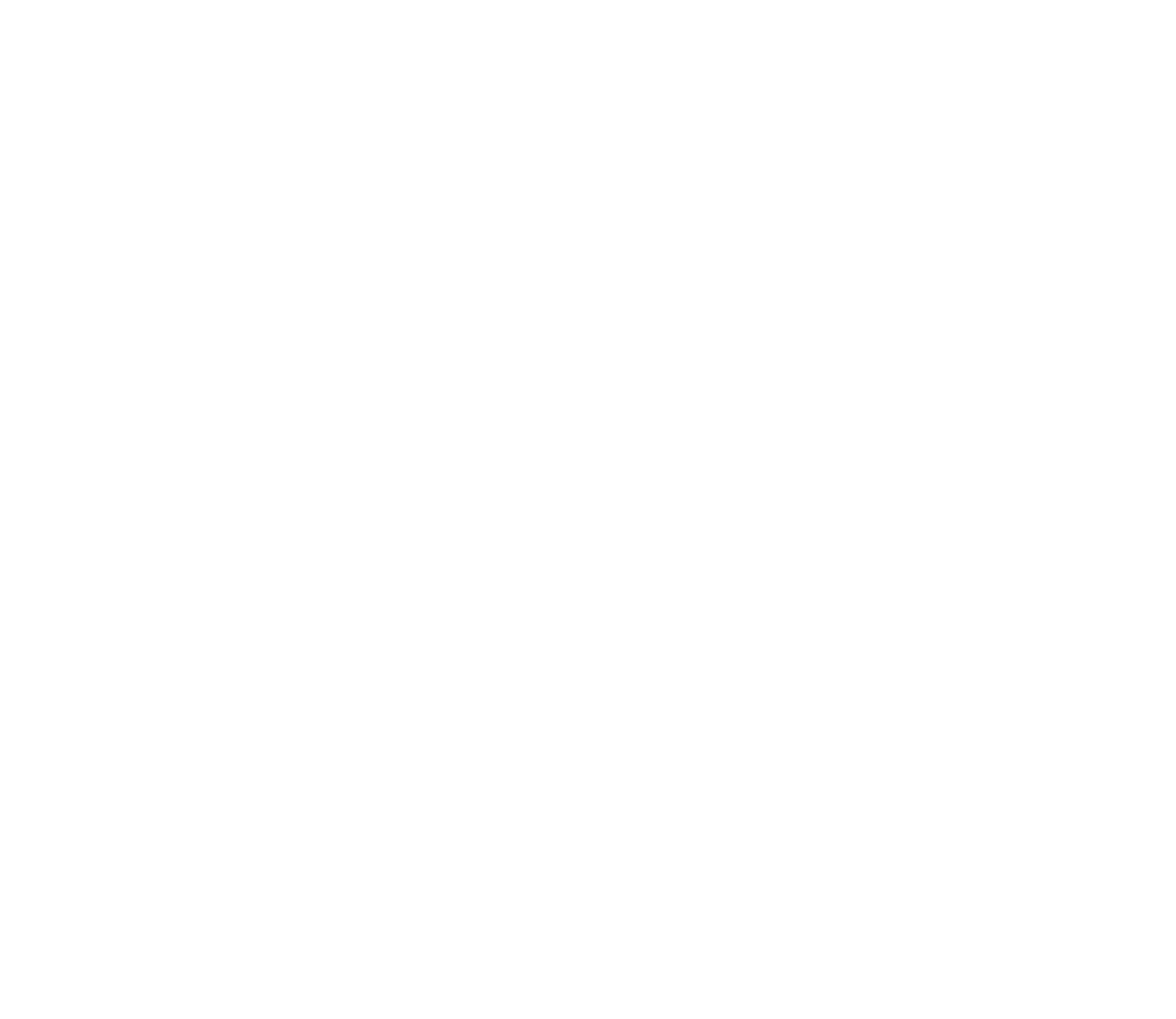 Daniel Schaffer Logo weiß